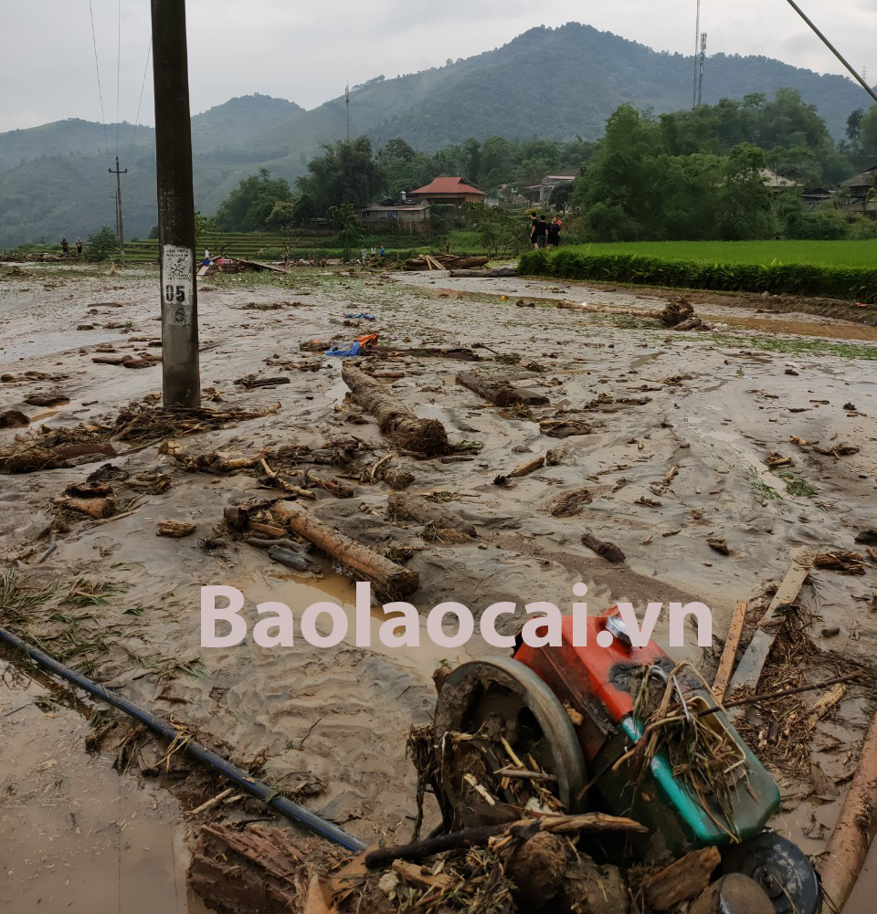 Lũ ống làm hư hỏng 25 nhà dân xã Minh Lương. Lũ ống khiến Quốc lộ 279, đoạn qua xã Minh Lương bị chia cắt hoàn toàn.