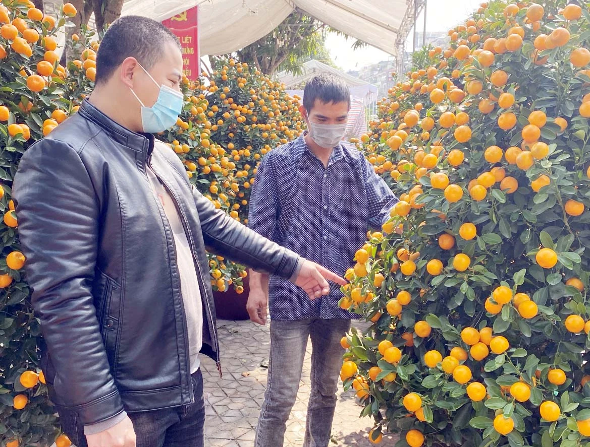 Người dân chủ động phòng, chống dịch Covid – 19 tại chợ hoa xuân ảnh 1