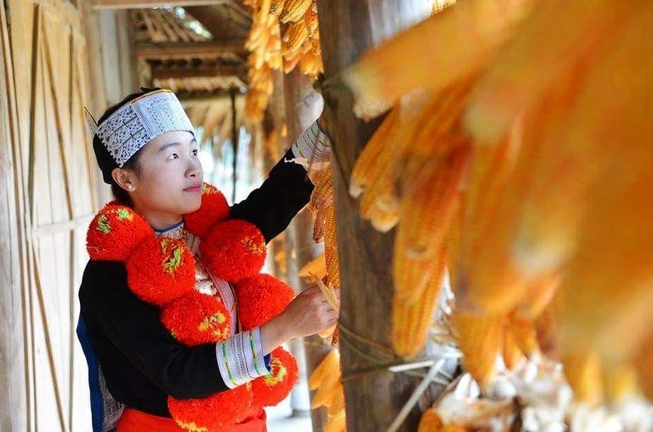 Tôi là đảng viên ảnh 1