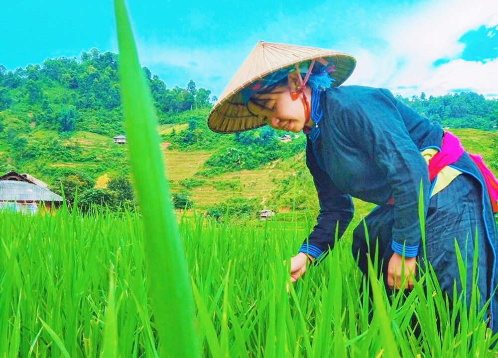 Nón là vật dụng quen thuộc của phụ nữ Tày ở Bản Liền. Nón là vật dụng quen thuộc của phụ nữ Tày ở Bản Liền.