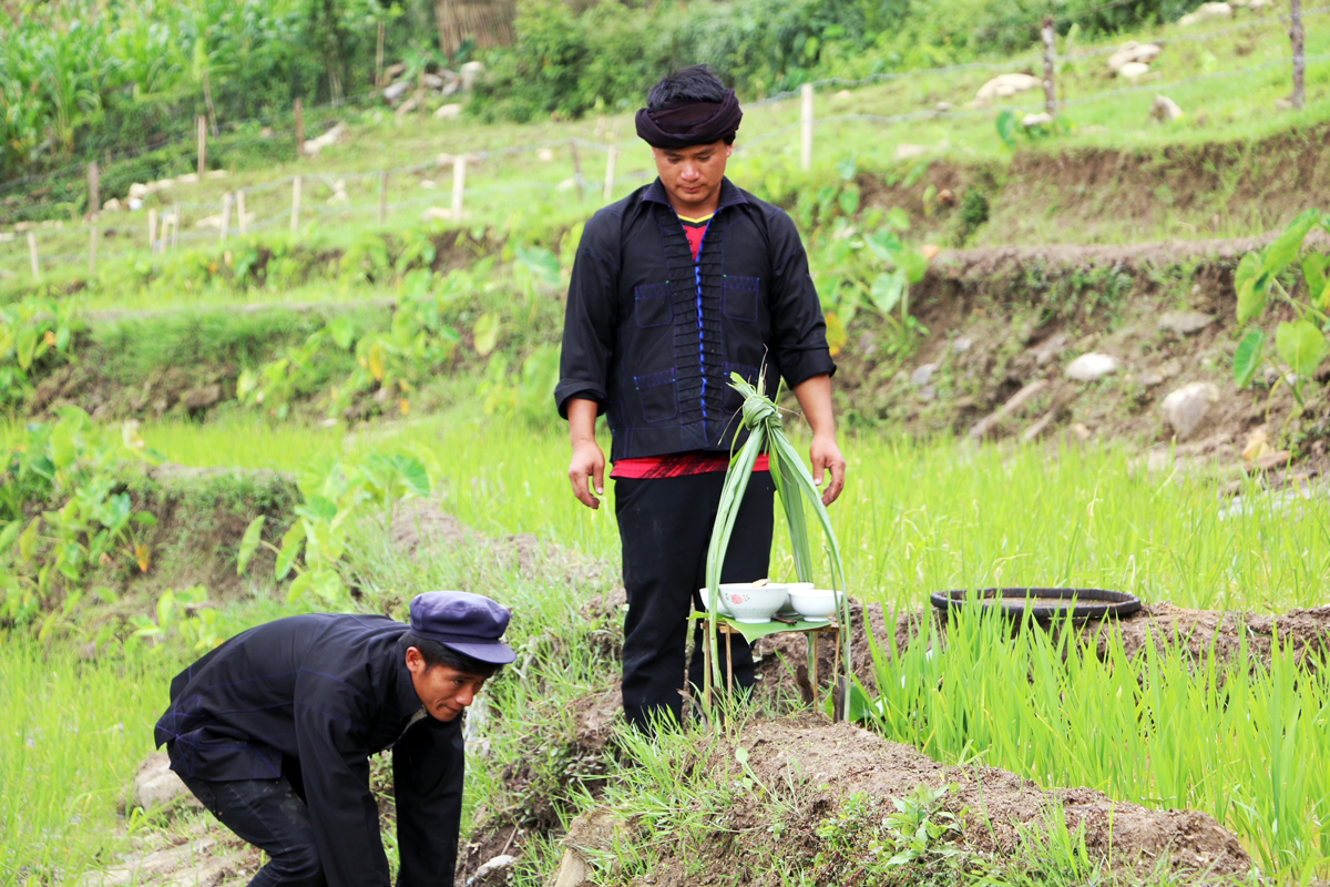 Nghi thức cúng ruộng của người Hà Nhì ảnh 2