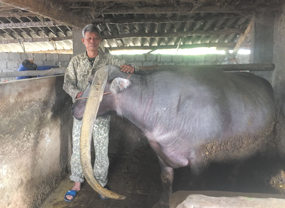 Báu vật Nậm Mòn ảnh 1