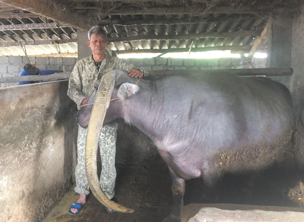 Báu vật Nậm Mòn ảnh 1 Báu vật Nậm Mòn ảnh 1