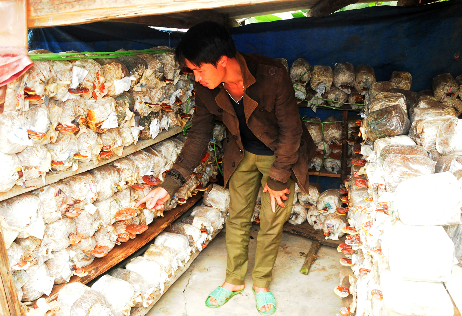 Trưởng thôn gương mẫu ảnh 1