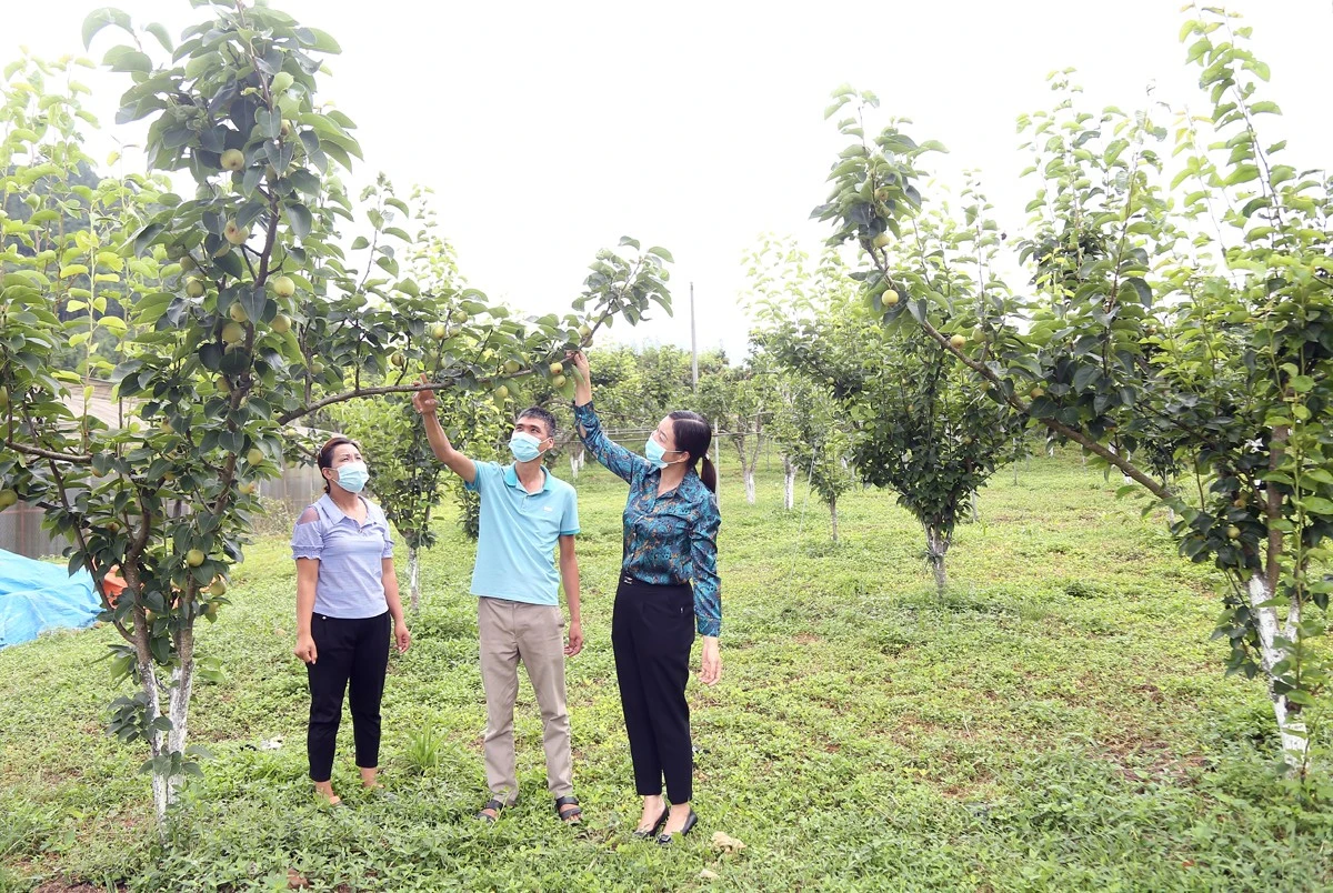 Công tác nghiên cứu, khảo nghiệm giống được quan tâm để đưa vào sản xuất giống cây trồng mới.