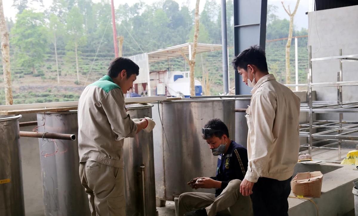 Các công nhân đang hoàn thiện dây chuyền rửa quả của Nhà máy chế biến rau quả Mường Khương.