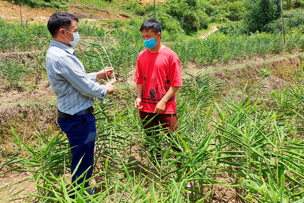 Bài 3: Nhen lên ngọn lửa khát vọng thoát nghèo ảnh 1