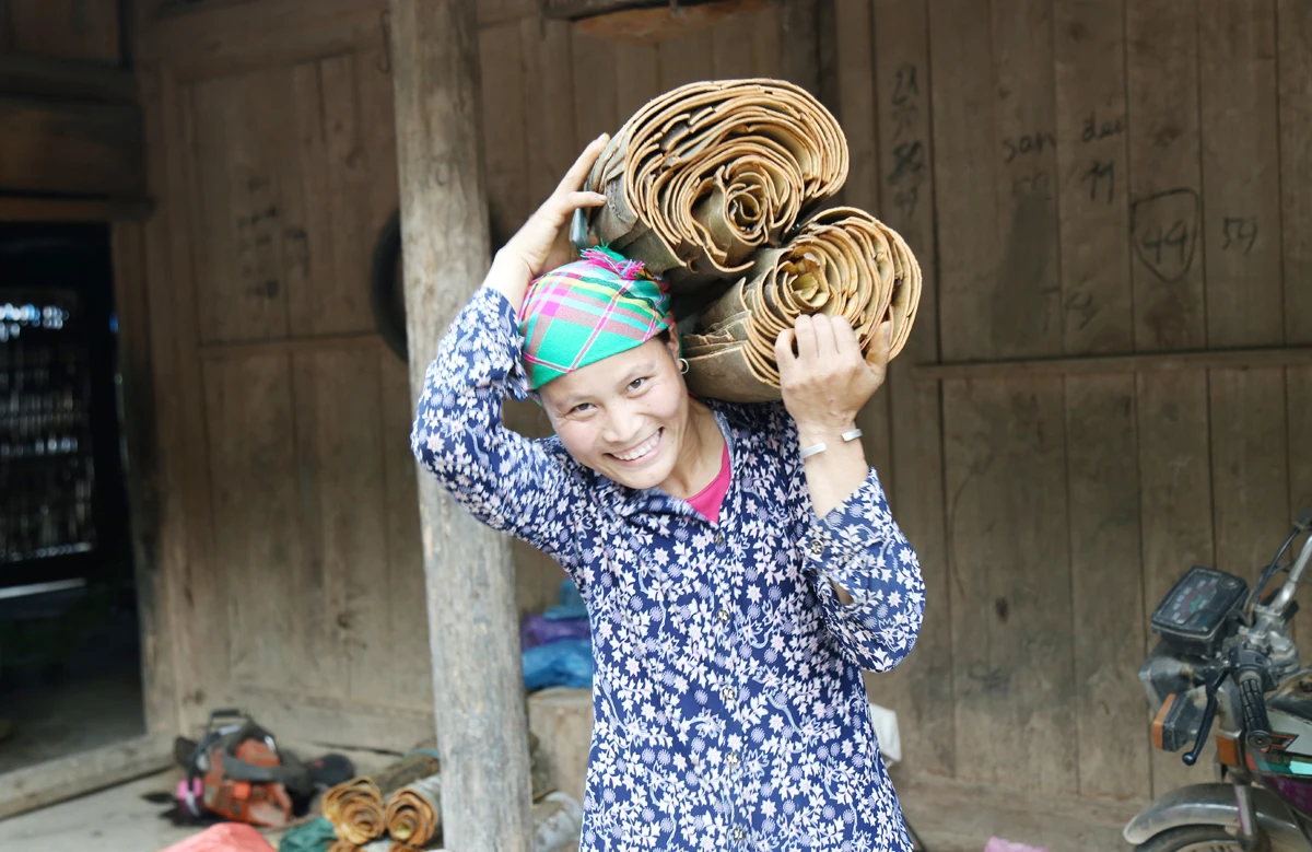 “Chủ nợ” của ngân hàng ảnh 1