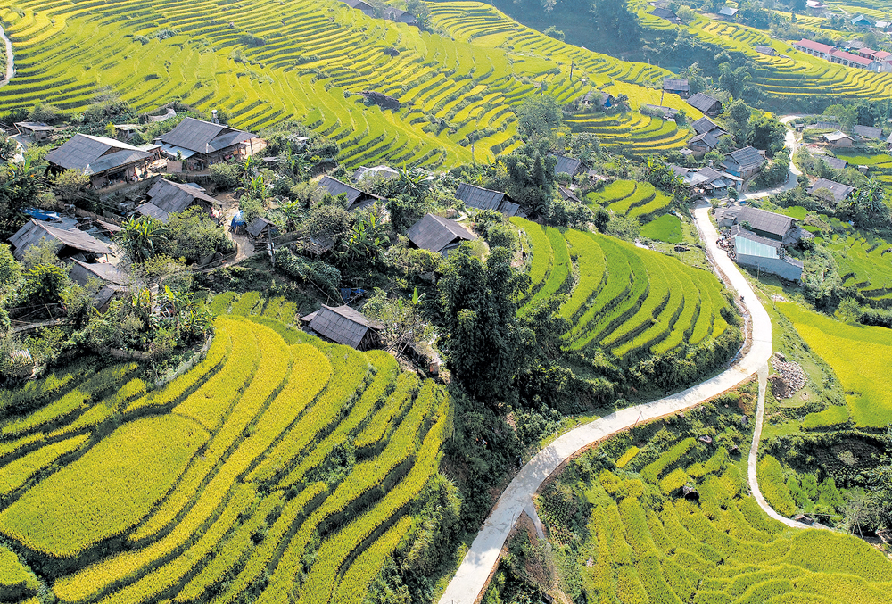 Hành trình 30 mùa xuân vượt qua đói nghèo ảnh 1