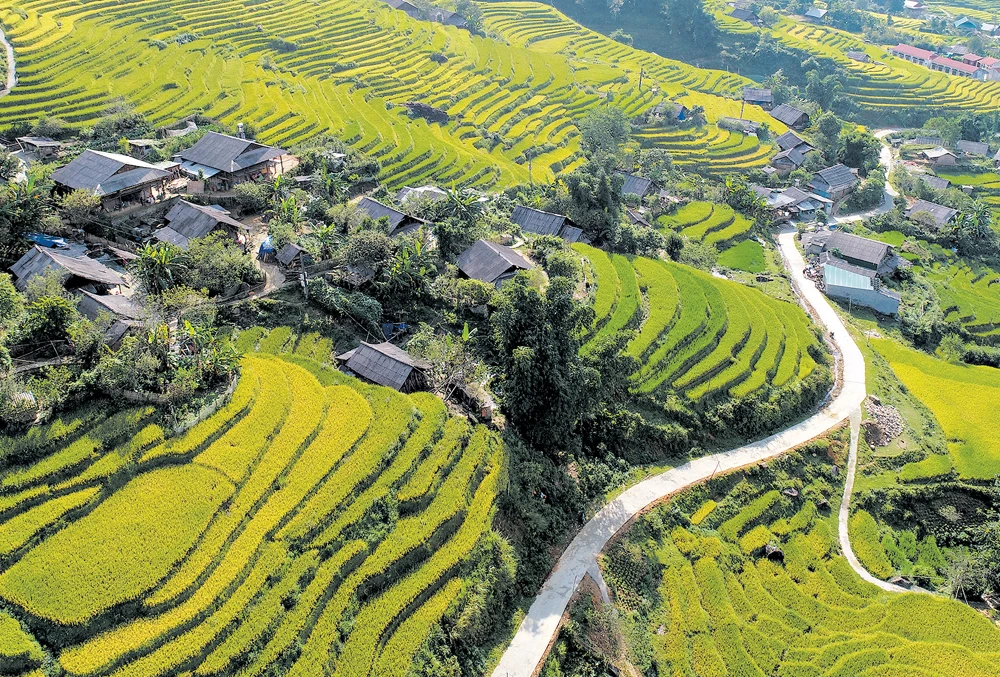 Hành trình 30 mùa xuân vượt qua đói nghèo ảnh 1