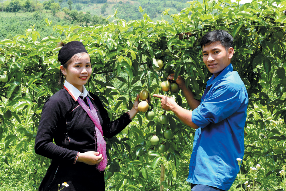 Đảng viên phải tiên phong, gương mẫu ảnh 1 Đảng viên phải tiên phong, gương mẫu ảnh 1