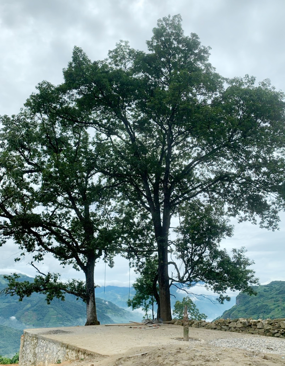 Việc xây dựng lan can sắt và chòi ngắm cảnh gây bức xúc trong dư luận. Lan can sắt đã được dỡ bỏ.