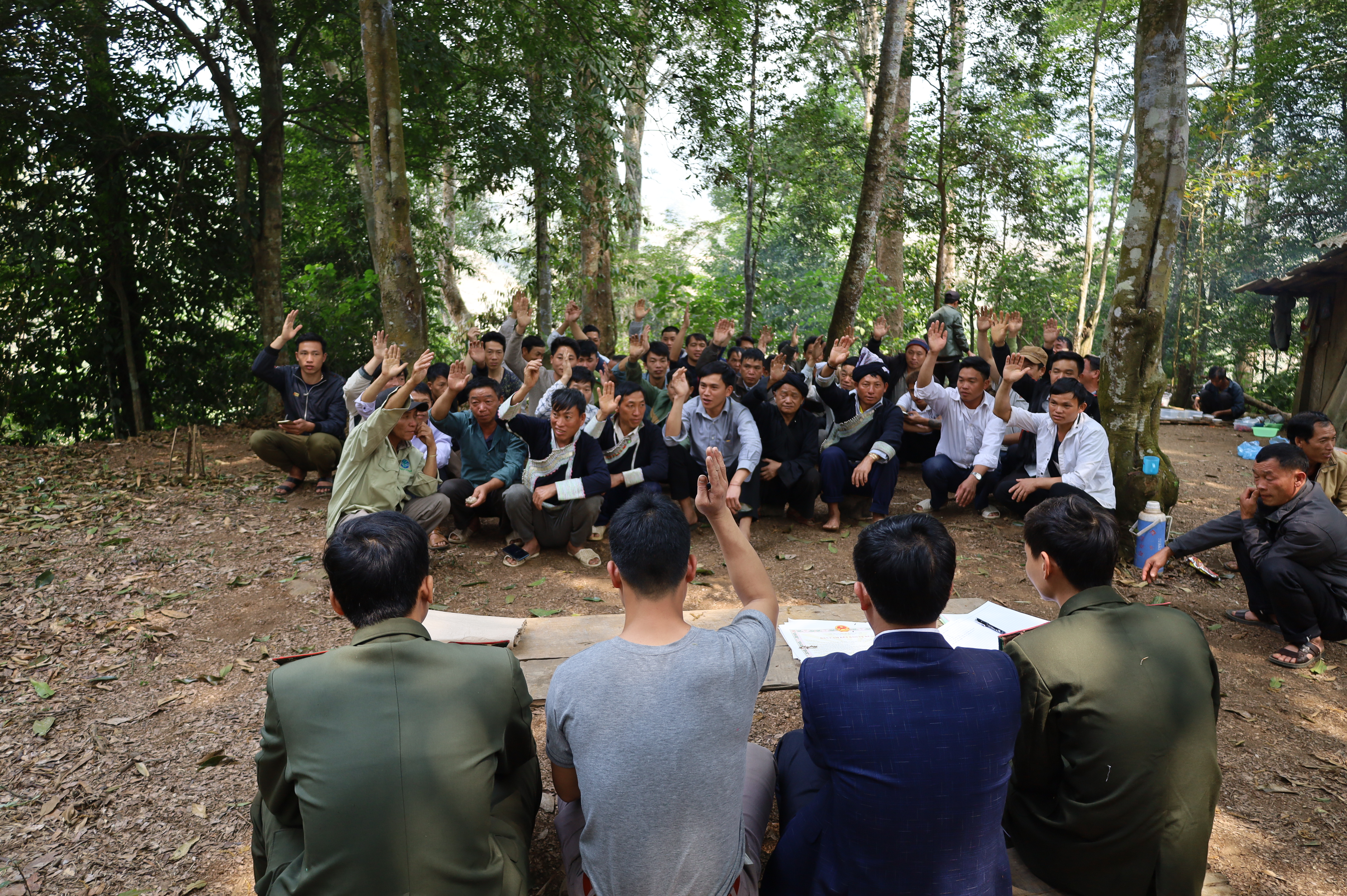 Giữ cánh rừng thêm xanh ảnh 1