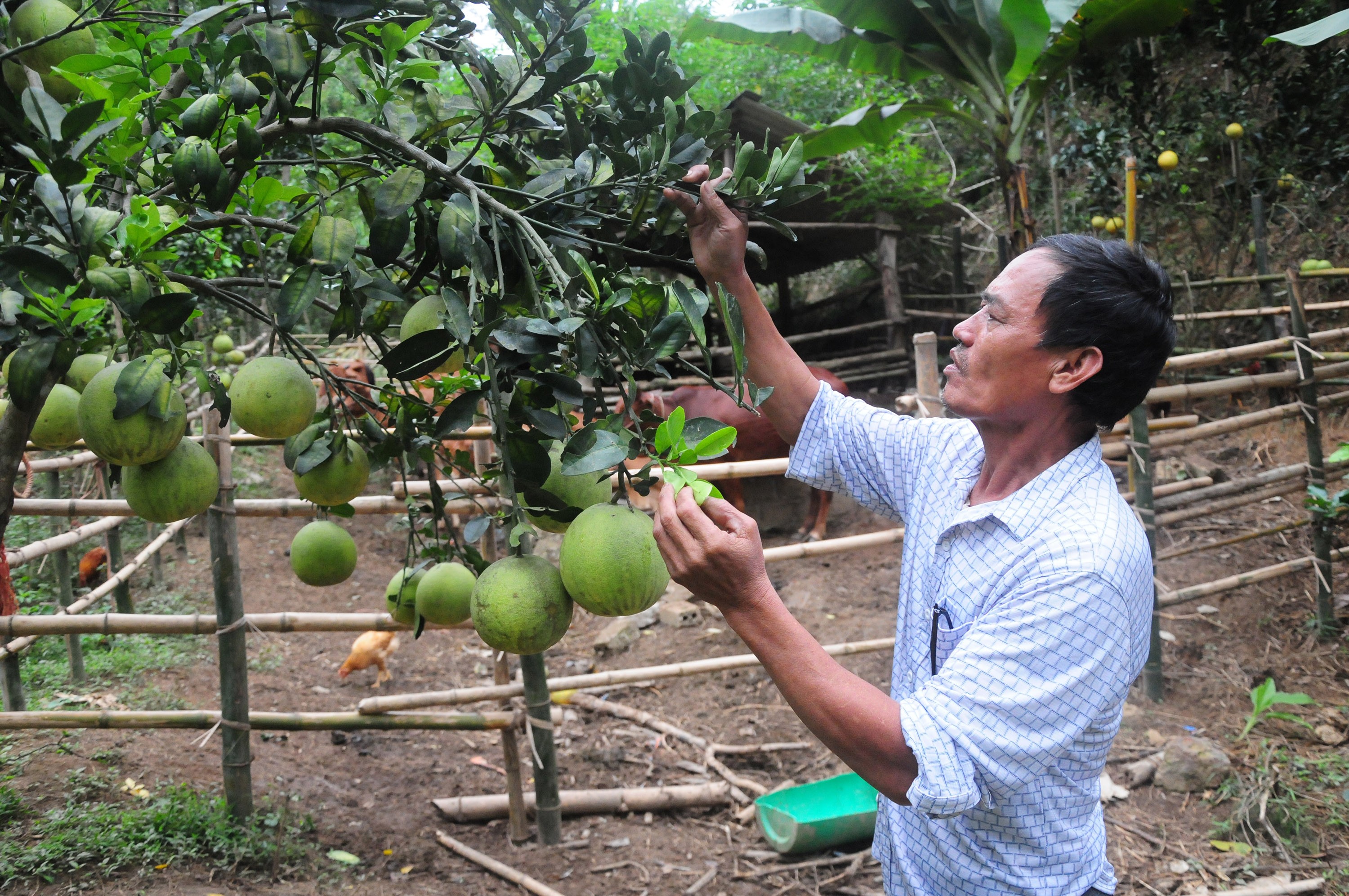 Ngôi dinh thự trăm tuổi ảnh 2 Ngôi dinh thự trăm tuổi ảnh 2