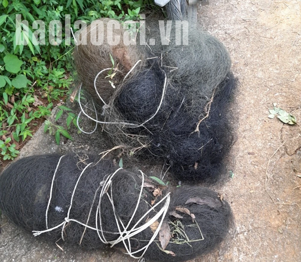 Thu giữ 1.320 mét vuông lưới bẫy chim ảnh 2