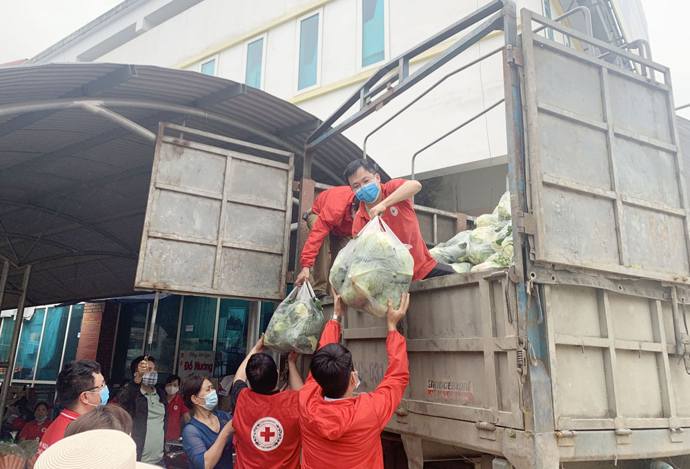 Chung sức cùng người dân Hải Dương tiêu thụ nông sản ảnh 2