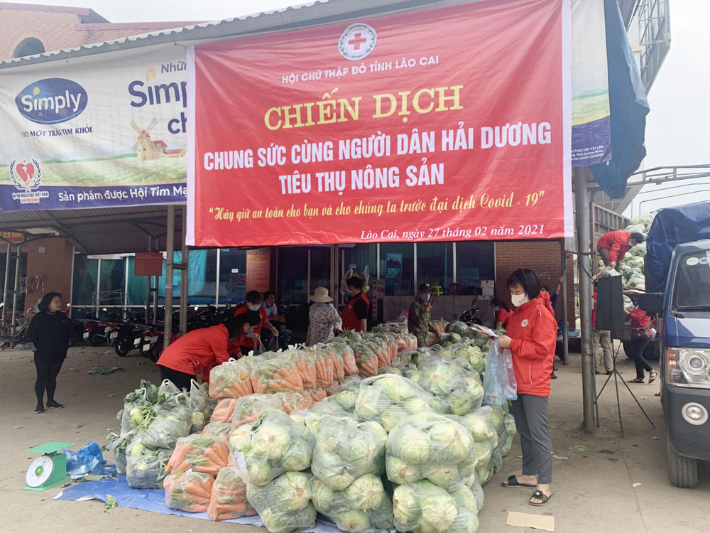 Chung sức cùng người dân Hải Dương tiêu thụ nông sản ảnh 1