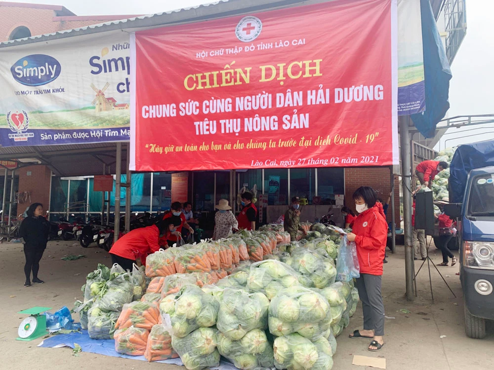 Chung sức cùng người dân Hải Dương tiêu thụ nông sản ảnh 1