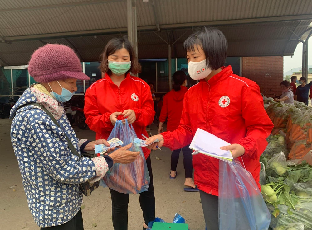 Chung sức cùng người dân Hải Dương tiêu thụ nông sản ảnh 4