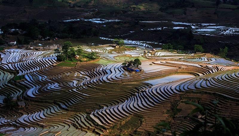 Mùa nước đổ ở vùng cao Lào Cai. Các tràn ruộng bạc thang như những tấm gương lớn phản chiếu lên trời. Sắc màu lạ. Nông dân vùng cao Sa Pa vào vụ cấy. Sau mùa nước đổ, bà con tranh thủ làm đất chuẩn bị mùa cấy. Vùng cao Bát Xát mùa nước đổ. Mùa nước đổ ở vùng cao Lào Cai. Các tràn ruộng bạc thang như những tấm gương lớn phản chiếu lên trời. Sắc màu lạ. Nông dân vùng cao Sa Pa vào vụ cấy. Sau mùa nước đổ, bà con tranh thủ làm đất chuẩn bị mùa cấy. Vùng cao Bát Xát mùa nước đổ.