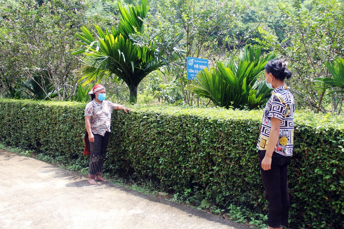 Hội viên phụ nữ tham quan mô hình tường rào cây xanh ở thôn Cánh Địa, xã Sơn Hải.