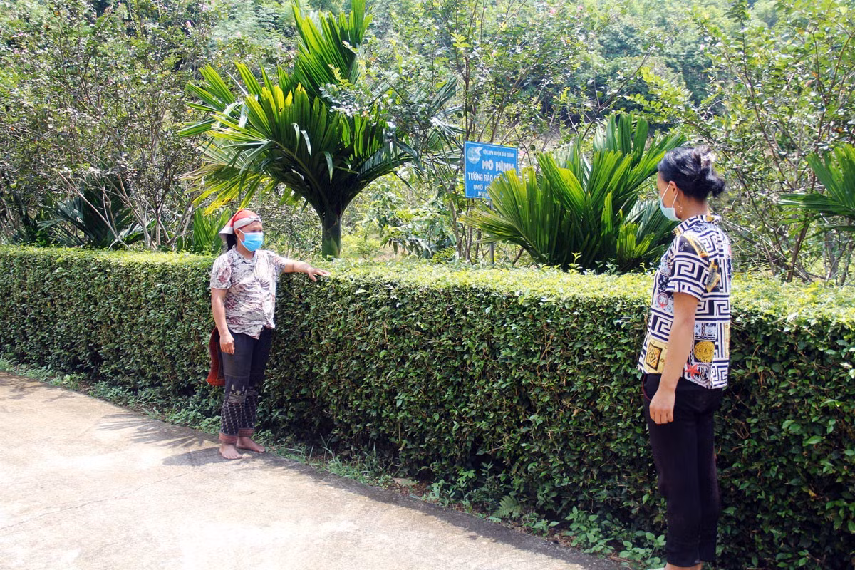 Hội viên phụ nữ tham quan mô hình tường rào cây xanh ở thôn Cánh Địa, xã Sơn Hải.