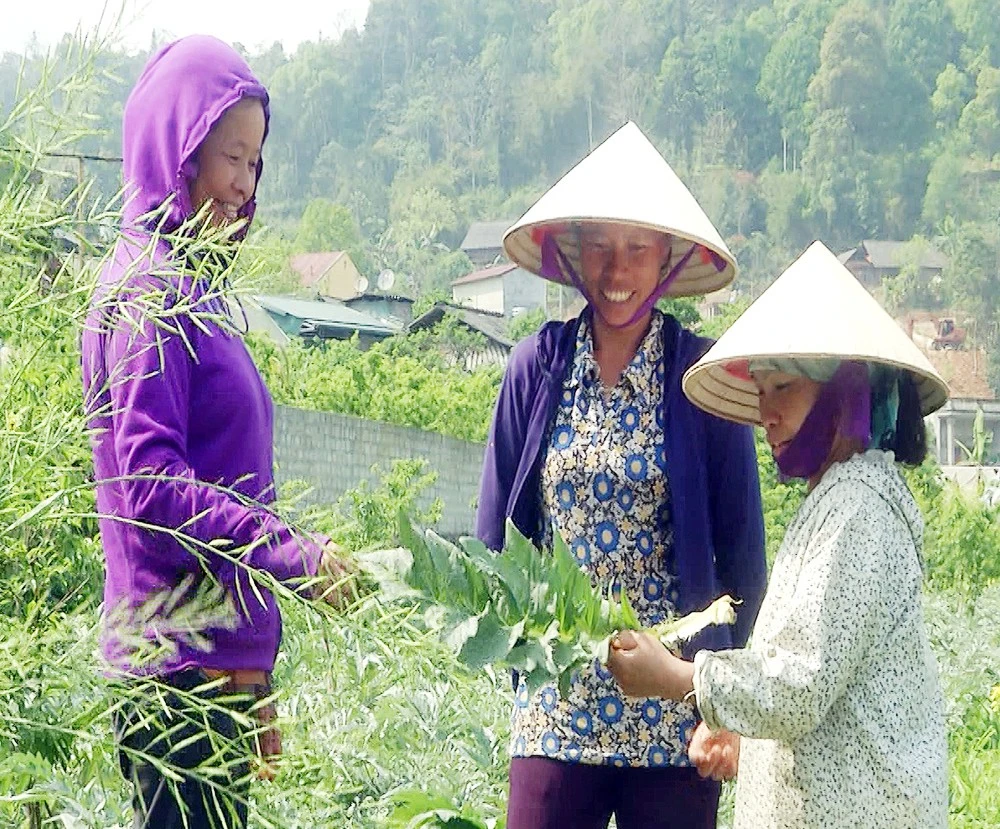 Cán bộ phụ nữ tâm huyết với vùng cao ảnh 1