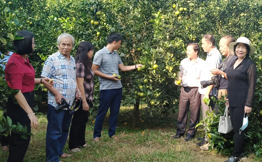 Các văn nghệ sỹ tham quan mô hình kinh tế tiêu biểu của huyện Văn Bàn.