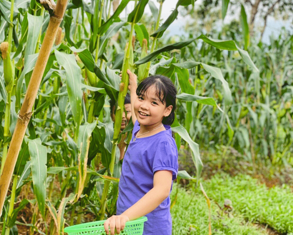 Trường Tiểu học Bắc Lệnh đoạt giải "Trường học xuất sắc trong Dự án Hành động về khí hậu” ảnh 2 Trường Tiểu học Bắc Lệnh đoạt giải "Trường học xuất sắc trong Dự án Hành động về khí hậu” ảnh 2