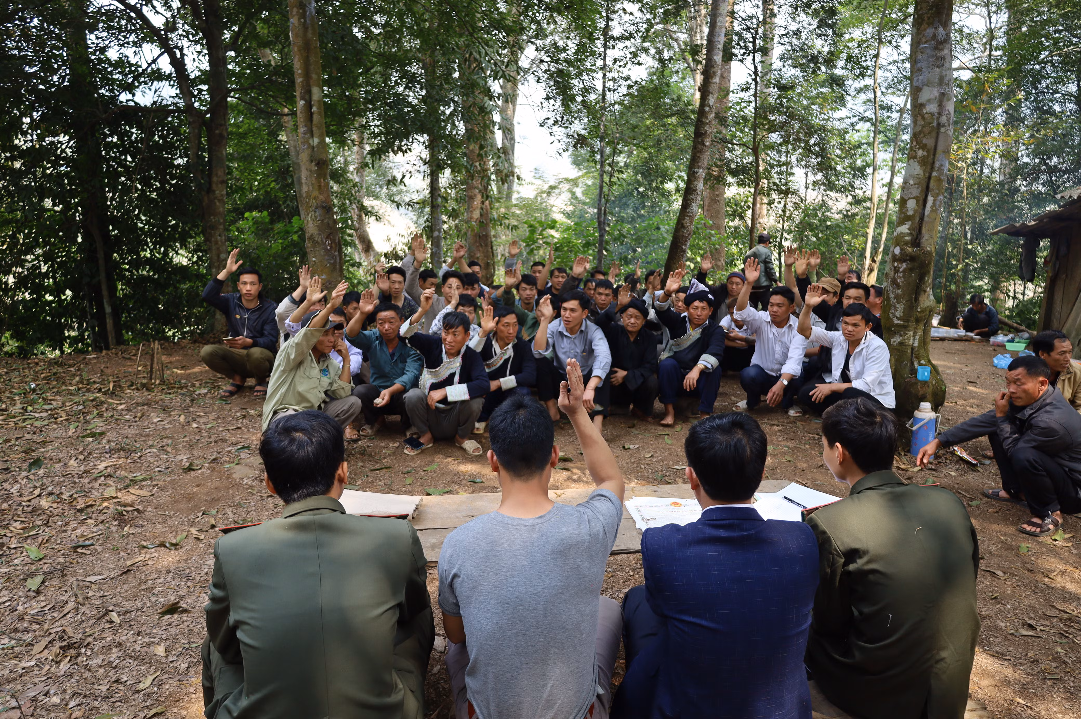 Giữ mãi cánh rừng xanh ảnh 8 Giữ mãi cánh rừng xanh ảnh 8