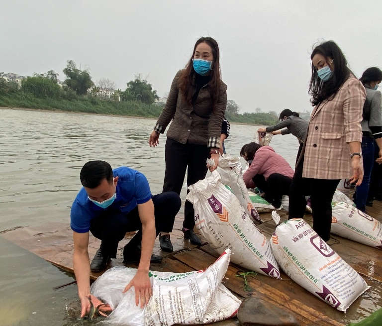 Thành phố Lào Cai tổ chức Ngày hội thả cá phóng sinh ảnh 3 Thành phố Lào Cai tổ chức Ngày hội thả cá phóng sinh ảnh 3