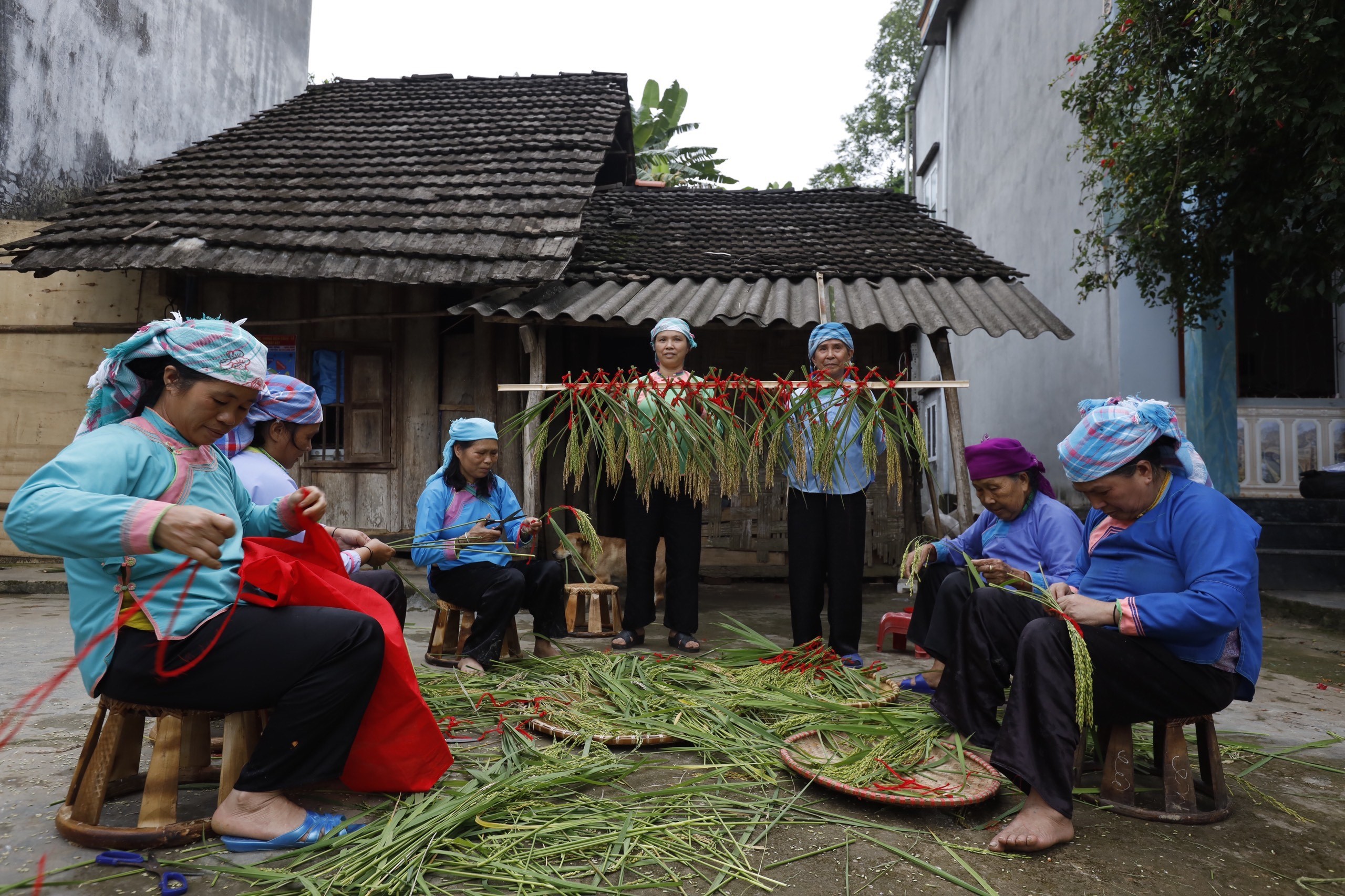 Độc đáo nghi lễ Then cốm của người Giáy xã Quang Kim ảnh 3