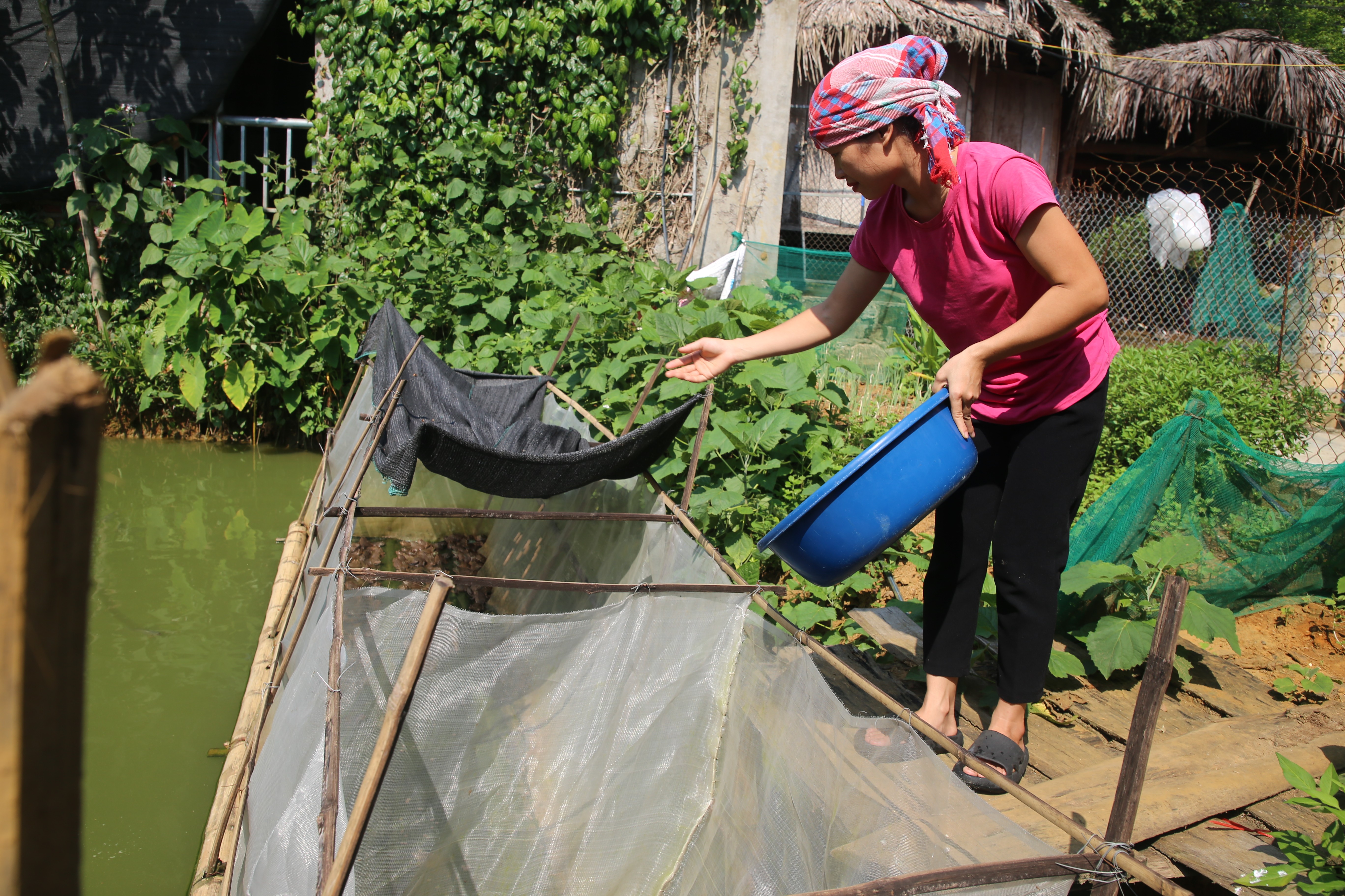 Dinh thự cổ nhìn từ trên cao. Dinh thự bề thế trên cao nguyên Bắc Hà. Kiến trúc của dinh thự luôn thu hút khách du lịch đến tham quan. Mái lợp ngói âm dương - nét kiến trúc phương Đông. Trang trí hoa văn cửa sổ in dấu thời gian. Triển lãm ảnh của các nghệ sỹ nhiếp ảnh Lào Cai tổ chức tại dinh thự Hoàng A Tưởng. Dinh thự cổ nhìn từ trên cao. Dinh thự bề thế trên cao nguyên Bắc Hà. Kiến trúc của dinh thự luôn thu hút khách du lịch đến tham quan. Mái lợp ngói âm dương - nét kiến trúc phương Đông. Trang trí hoa văn cửa sổ in dấu thời gian. Triển lãm ảnh của các nghệ sỹ nhiếp ảnh Lào Cai tổ chức tại dinh thự Hoàng A Tưởng.