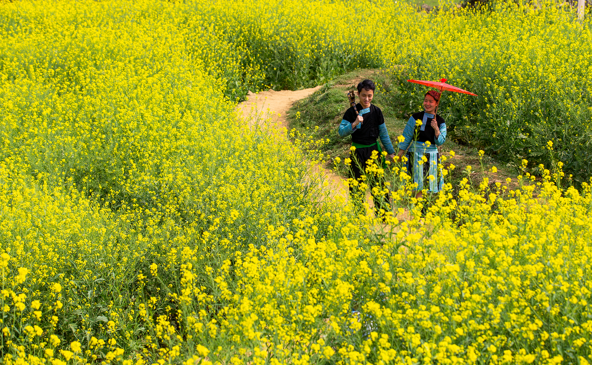 Sắc vàng Cát Cát ảnh 2