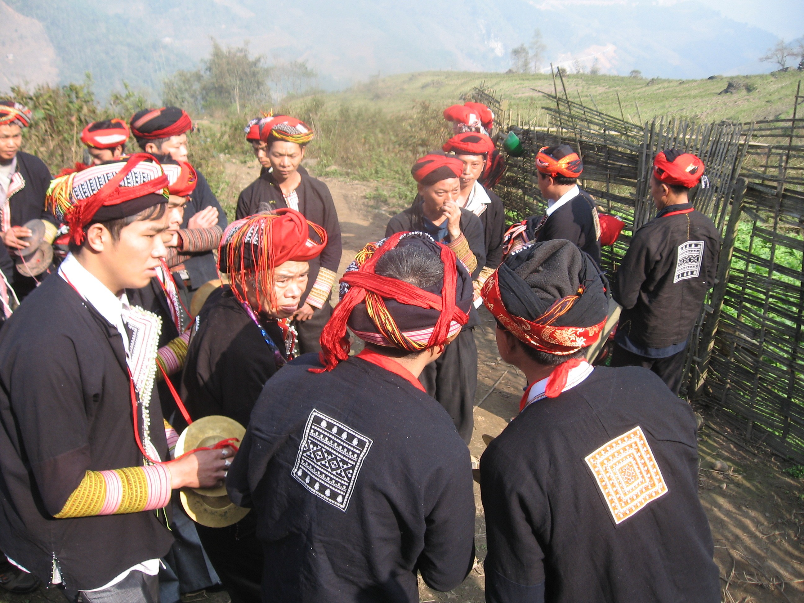 Hình tượng cây thông trong đời sống người Dao đỏ ảnh 1