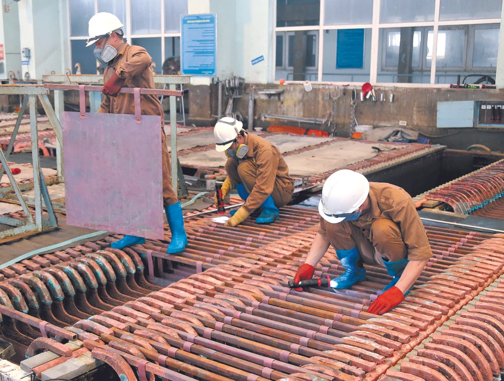 Điểm sáng trong bức tranh phát triển kinh tế ảnh 2