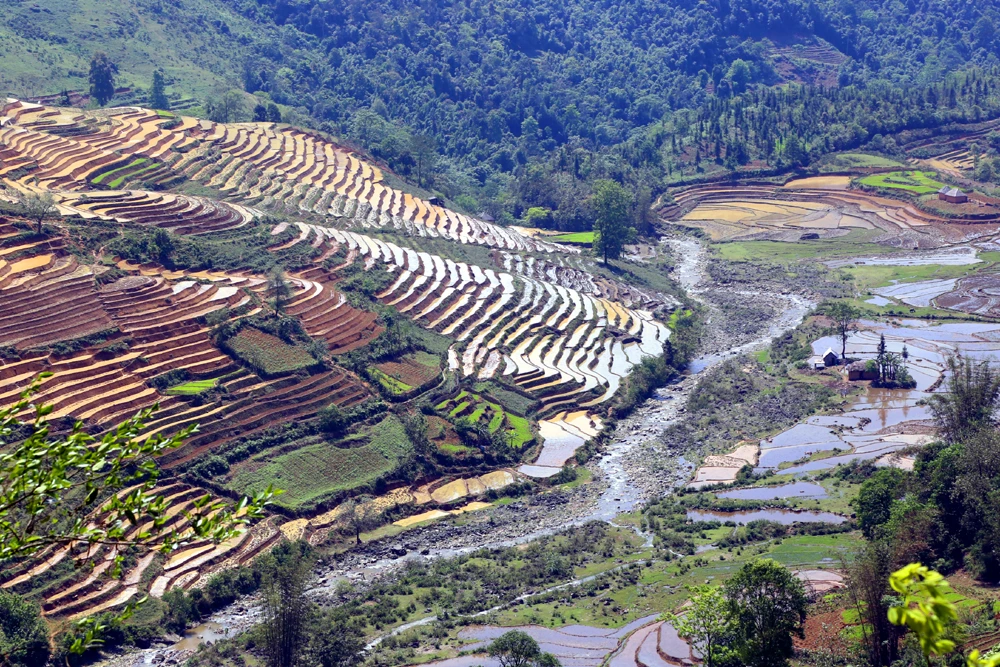 Vùng cao Bát Xát hối hả vào vụ cày cấy trên ruộng bậc thang ảnh 1