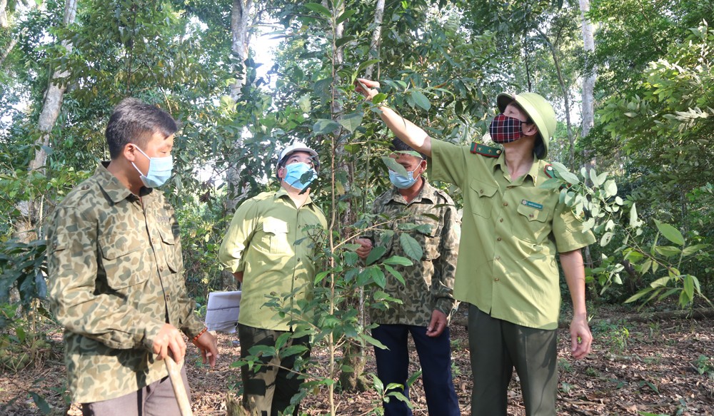 Bài 3: Chung sức giữ màu xanh đại ngàn ảnh 2 Bài 3: Chung sức giữ màu xanh đại ngàn ảnh 2