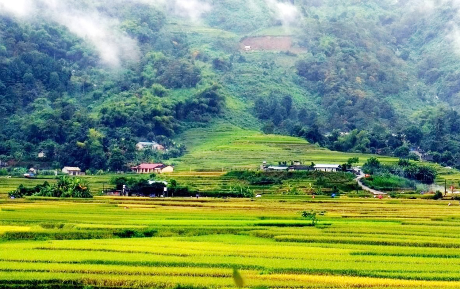 Ngày 30/10 sẽ khai mạc Giải đua xe đạp “Hương cốm Lào Cai” lần I năm 2021 ảnh 1