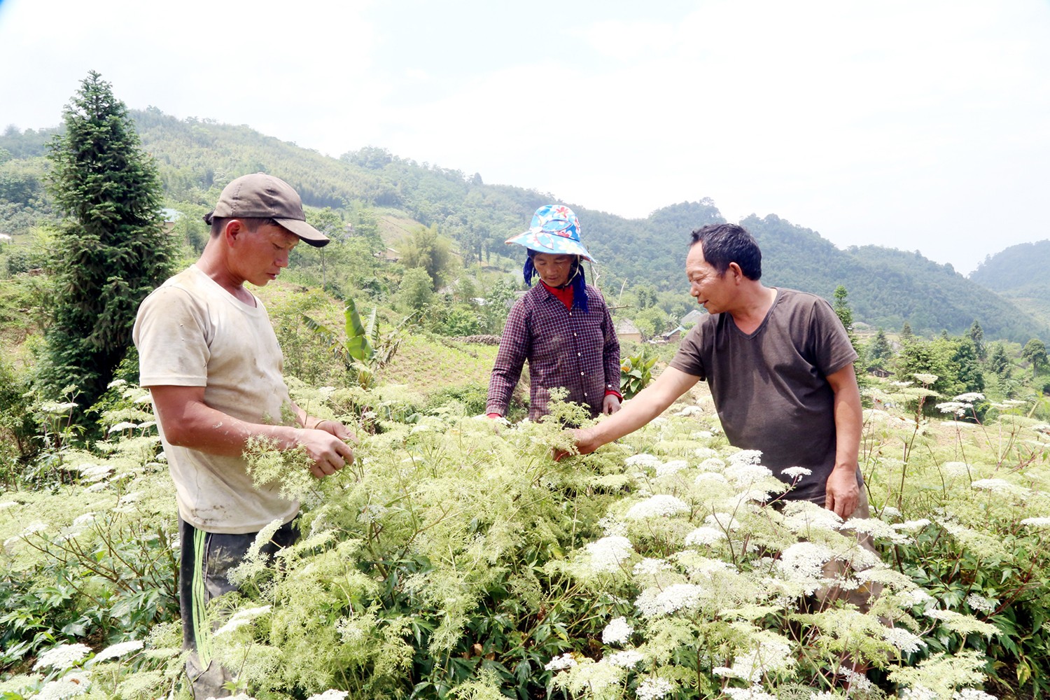 Già làng Lý Giá Xe (phải ảnh) tích cực vận động đồng bào Hà Nhì xóa bỏ hủ tục, phát triển sản xuất, xây dựng nếp sống văn minh.
