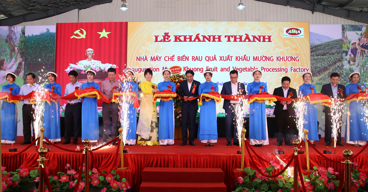 Khánh thành Nhà máy Chế biến rau quả xuất khẩu Mường Khương ảnh 1