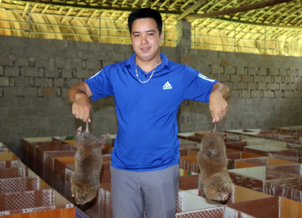 Khởi nghiệp từ mô hình nuôi con “ăn đêm, ngủ ngày” ảnh 1 Khởi nghiệp từ mô hình nuôi con “ăn đêm, ngủ ngày” ảnh 1