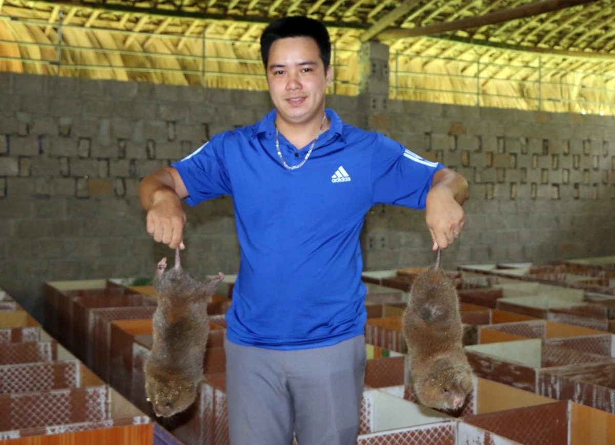 Khởi nghiệp từ mô hình nuôi con “ăn đêm, ngủ ngày” ảnh 1