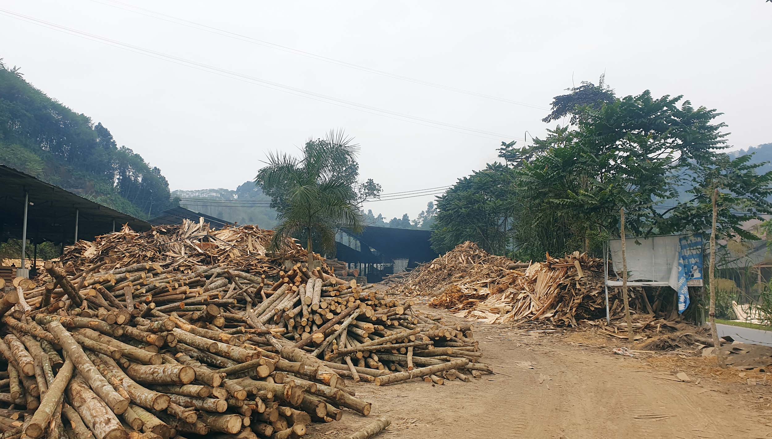 Khó khăn trong quản lý cơ sở chế biến lâm sản ảnh 1 Khó khăn trong quản lý cơ sở chế biến lâm sản ảnh 1
