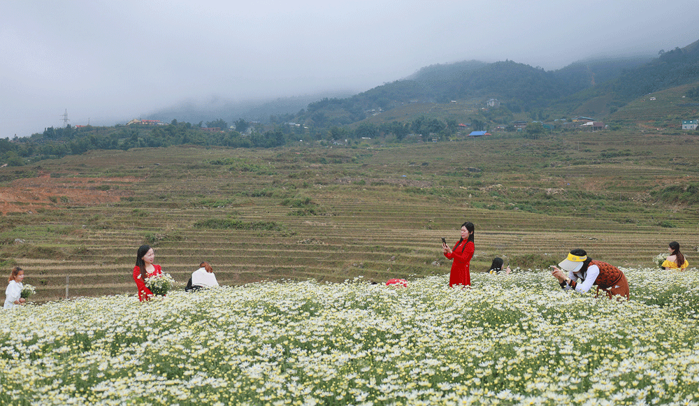 Sa Pa sẵn sàng khởi động du lịch xanh ảnh 1
