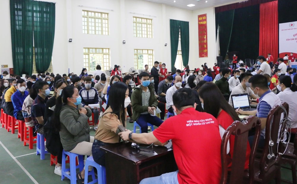 Tiếp nhận 464 đơn vị máu tại chương trình “Giọt máu nghĩa tình” ảnh 1