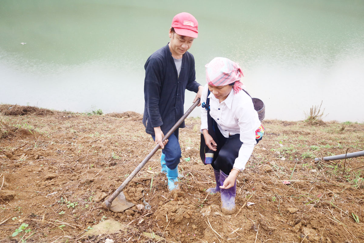 Trên các sườn núi cao, người dân hối hả vào vụ. Nông cụ sau thời gian dài "nghỉ ngơi" được rèn sắc để vào vụ mới. Phát quang nương rẫy, làm đất là khâu quan trọng cần đến sức khỏe của nam giới. Người Dao đỏ xã Dền Sáng (Bát Xát) gieo trồng vụ mới. Nông dân xã Cốc Ly (Bắc Hà) đổi công giúp nhau trồng ngô. Chủ yếu được trồng trên dốc núi đá, nên các công đoạn trồng ngô được làm thủ công. Những nơi đất bằng phẳng, gần mạch nước, ngô sẽ sinh trưởng, phát triển nhanh hơn. Kiểm tra hạt trước khi xuống giống... ... tất cả cho một mùa vụ bội thu. Trên các sườn núi cao, người dân hối hả vào vụ. Nông cụ sau thời gian dài "nghỉ ngơi" được rèn sắc để vào vụ mới. Phát quang nương rẫy, làm đất là khâu quan trọng cần đến sức khỏe của nam giới. Người Dao đỏ xã Dền Sáng (Bát Xát) gieo trồng vụ mới. Nông dân xã Cốc Ly (Bắc Hà) đổi công giúp nhau trồng ngô. Chủ yếu được trồng trên dốc núi đá, nên các công đoạn trồng ngô được làm thủ công. Những nơi đất bằng phẳng, gần mạch nước, ngô sẽ sinh trưởng, phát triển nhanh hơn. Kiểm tra hạt trước khi xuống giống... ... tất cả cho một mùa vụ bội thu.