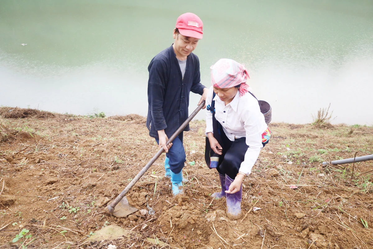 Trên các sườn núi cao, người dân hối hả vào vụ. Nông cụ sau thời gian dài "nghỉ ngơi" được rèn sắc để vào vụ mới. Phát quang nương rẫy, làm đất là khâu quan trọng cần đến sức khỏe của nam giới. Người Dao đỏ xã Dền Sáng (Bát Xát) gieo trồng vụ mới. Nông dân xã Cốc Ly (Bắc Hà) đổi công giúp nhau trồng ngô. Chủ yếu được trồng trên dốc núi đá, nên các công đoạn trồng ngô được làm thủ công. Những nơi đất bằng phẳng, gần mạch nước, ngô sẽ sinh trưởng, phát triển nhanh hơn. Kiểm tra hạt trước khi xuống giống... ... tất cả cho một mùa vụ bội thu.