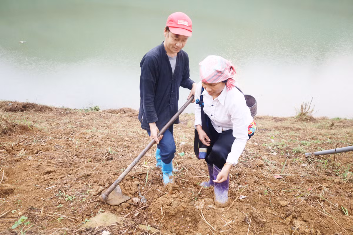 Trên các sườn núi cao, người dân hối hả vào vụ. Nông cụ sau thời gian dài "nghỉ ngơi" được rèn sắc để vào vụ mới. Phát quang nương rẫy, làm đất là khâu quan trọng cần đến sức khỏe của nam giới. Người Dao đỏ xã Dền Sáng (Bát Xát) gieo trồng vụ mới. Nông dân xã Cốc Ly (Bắc Hà) đổi công giúp nhau trồng ngô. Chủ yếu được trồng trên dốc núi đá, nên các công đoạn trồng ngô được làm thủ công. Những nơi đất bằng phẳng, gần mạch nước, ngô sẽ sinh trưởng, phát triển nhanh hơn. Kiểm tra hạt trước khi xuống giống... ... tất cả cho một mùa vụ bội thu. Trên các sườn núi cao, người dân hối hả vào vụ. Nông cụ sau thời gian dài "nghỉ ngơi" được rèn sắc để vào vụ mới. Phát quang nương rẫy, làm đất là khâu quan trọng cần đến sức khỏe của nam giới. Người Dao đỏ xã Dền Sáng (Bát Xát) gieo trồng vụ mới. Nông dân xã Cốc Ly (Bắc Hà) đổi công giúp nhau trồng ngô. Chủ yếu được trồng trên dốc núi đá, nên các công đoạn trồng ngô được làm thủ công. Những nơi đất bằng phẳng, gần mạch nước, ngô sẽ sinh trưởng, phát triển nhanh hơn. Kiểm tra hạt trước khi xuống giống... ... tất cả cho một mùa vụ bội thu.