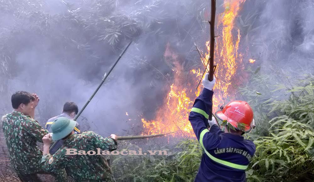 Lực lượng Phòng Cảnh sát Phòng cháy chữa cháy và Cứu nạn cứu hộ (Công an tỉnh) và Trạm Biên phòng Cửa khẩu quốc tế Lào Cai có mặt kịp thời dập đám cháy.